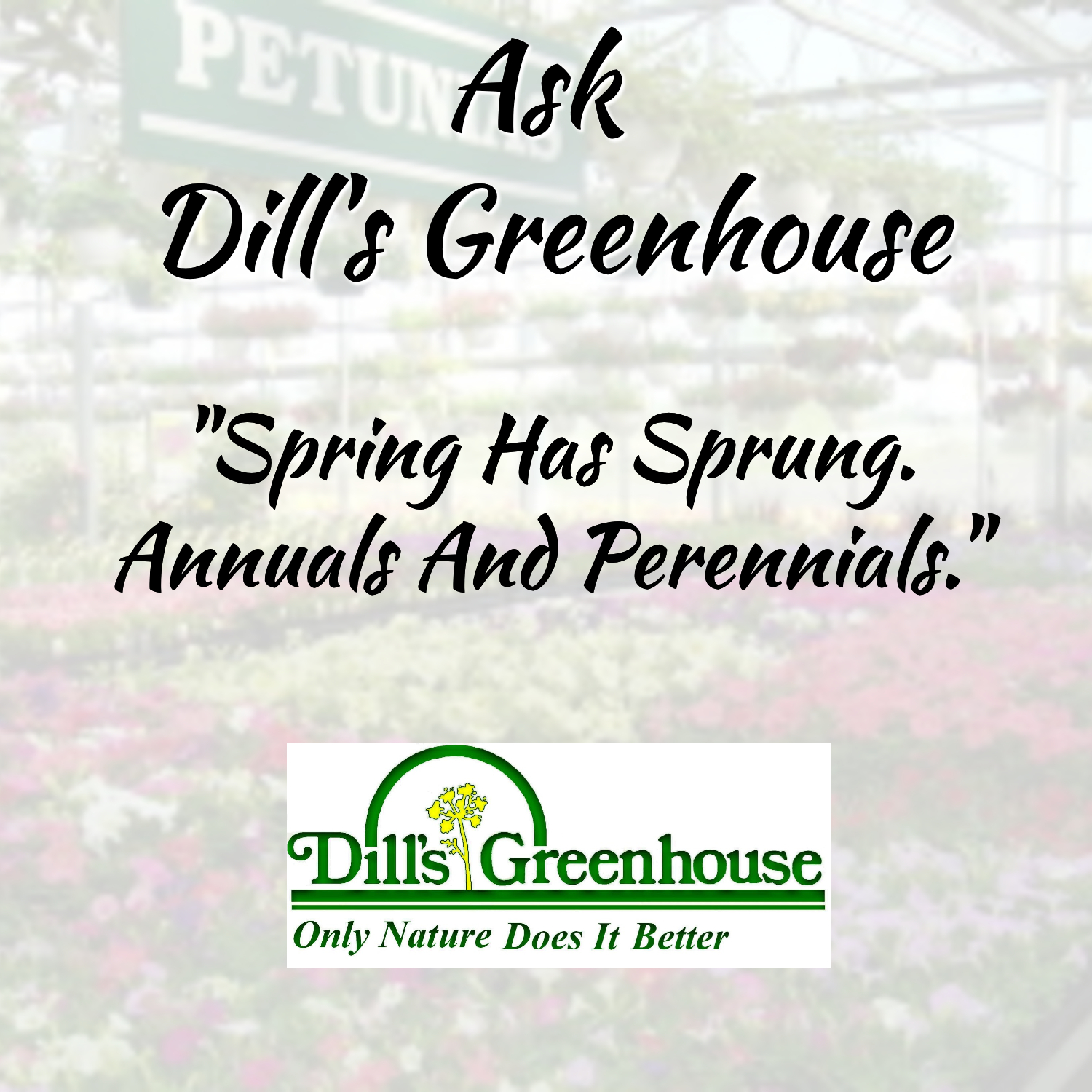 Artwork for podcast Ask Dill's Greenhouse